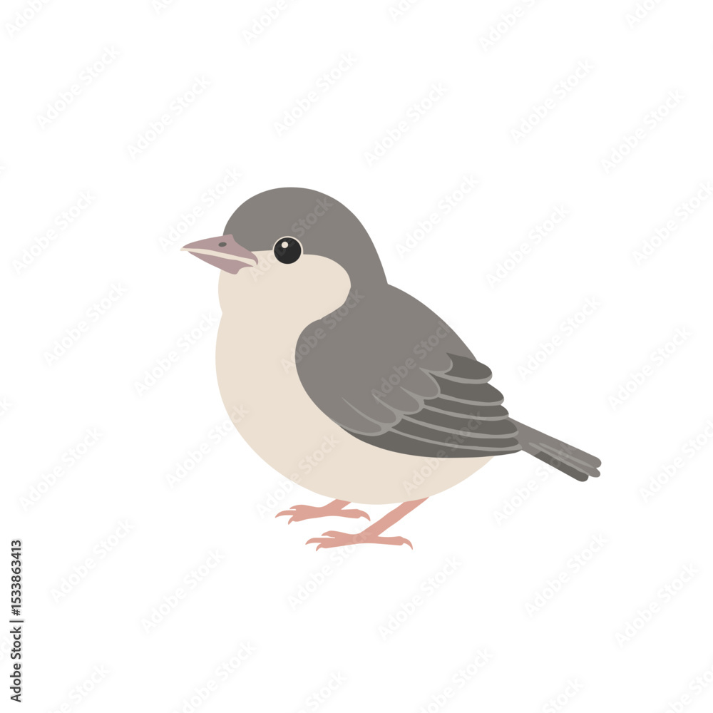 Obraz premium Illustration of a small bird perched, showcasing its detailed features against a plain background