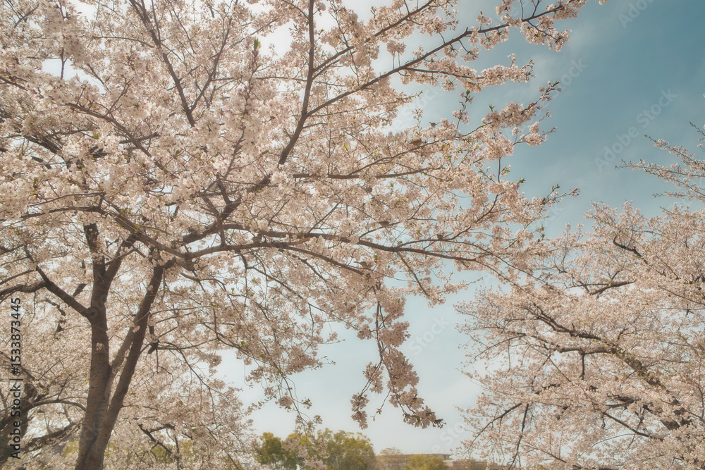 城北公園 城北公園