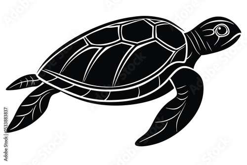 Black Sea Turtle Illustration on White Isolated Background