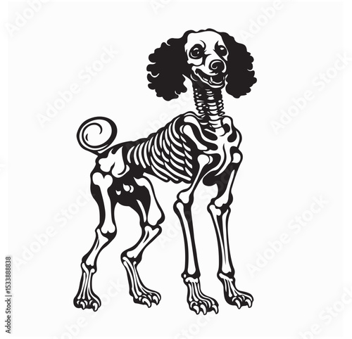 Creepy Poodle Skeleton Standing in a Spooky Pose Vector Illustration