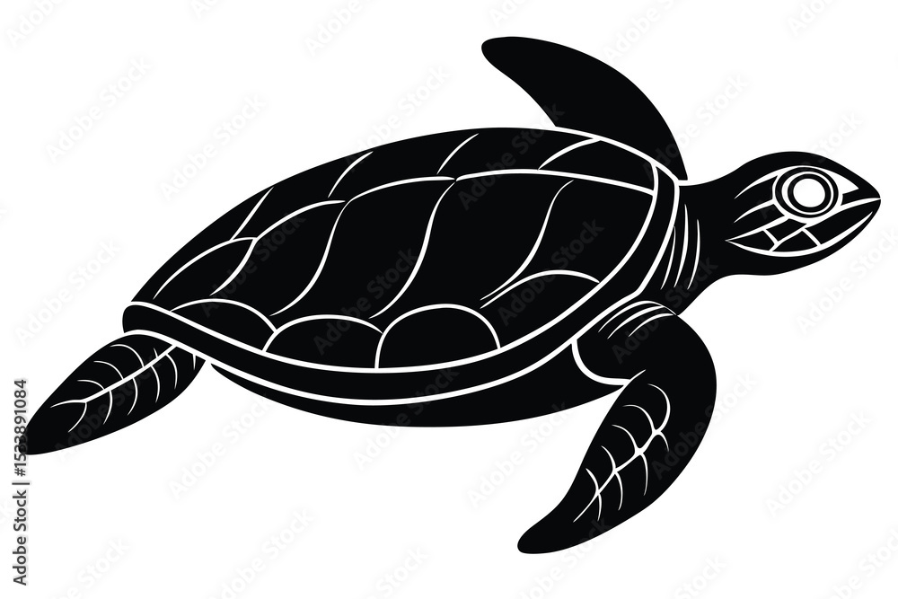 Fototapeta premium Sea Turtle Illustration of Black Turtle With White Accents on White