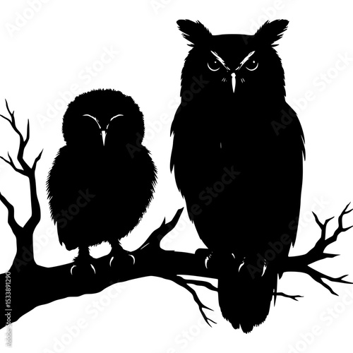Silhouette of two owls on a branch