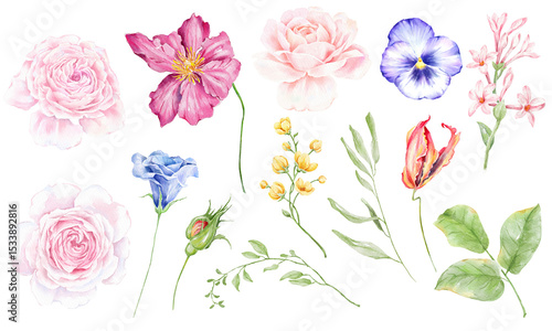 Fototapeta Naklejka Na Ścianę i Meble -  Watercolor flowers digital illustration, botanical spring summer design, watercolor hand drawn floral illustration, pink roses, wild Flowers and leaves, 