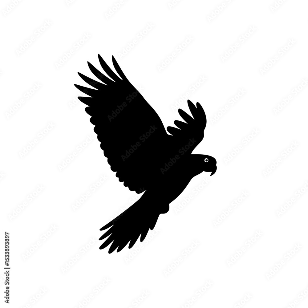 Obraz premium Silhouette of a parrot in flight with wings spread against white background