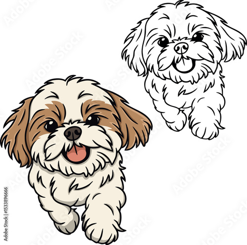 Shih tzu dog vector