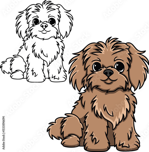Shih tzu dog vector
