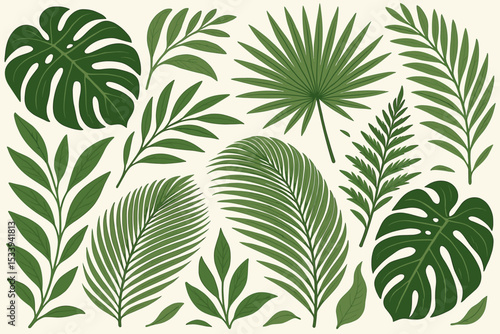 Set of tropical leaves illustration. Collection of exotic green jungle foliage. Monstera, palm, and fern leaves isolated on white background. Botanical vector design elements.