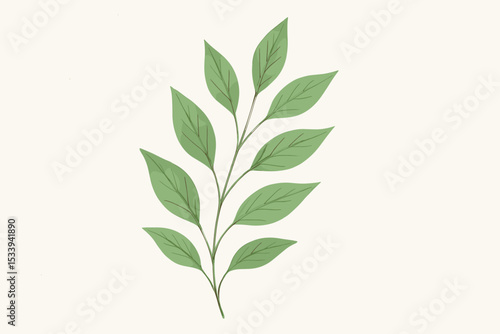 Green leaf branch illustration. Botanical plant sprig with foliage isolated on a light background. Natural and organic design element for eco-friendly concepts, spring, and summer.