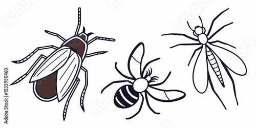 Vector illustration of fly mosquito and wasp insect drawing perfect for educational resources and design projects vector design
