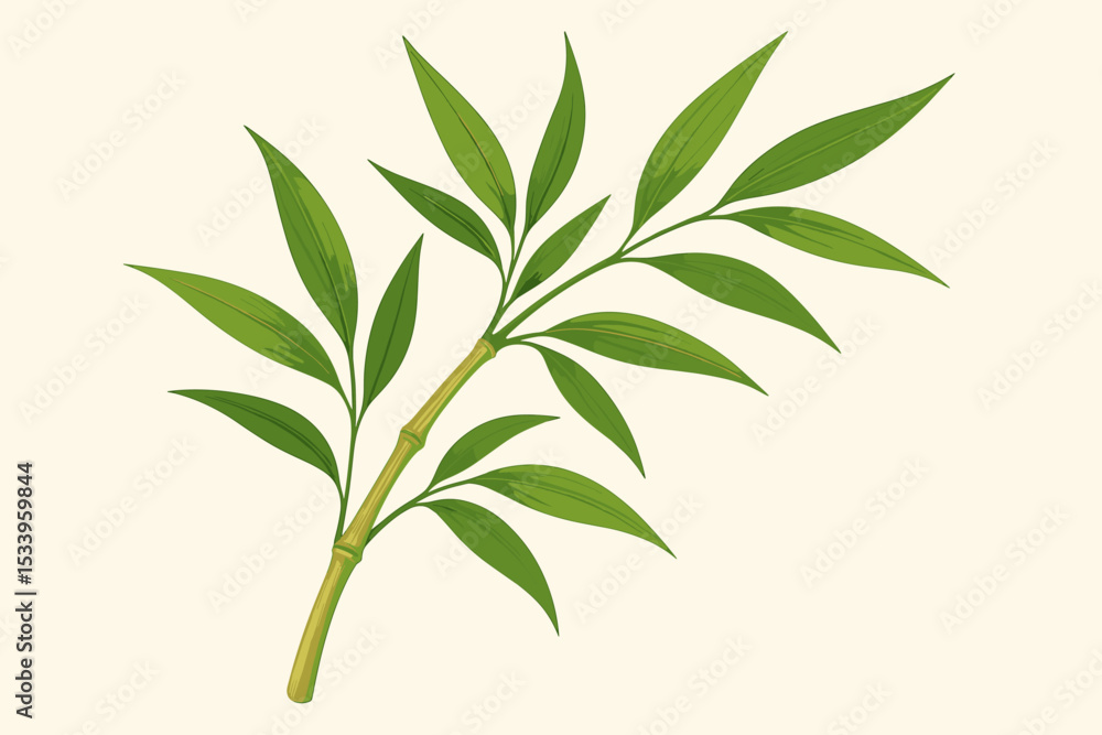 Fototapeta premium Vector illustration of a bamboo stalk with green leaves. Botanical drawing of a tropical Asian plant. Natural element for zen, spa, ecology, and relaxation concepts. Isolated.