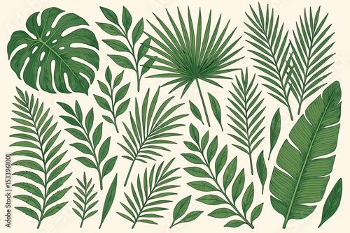 Set of hand drawn tropical leaves in a vintage engraving style. Collection of exotic jungle foliage including monstera, palm, and banana leaf. Botanical vector illustration elements.