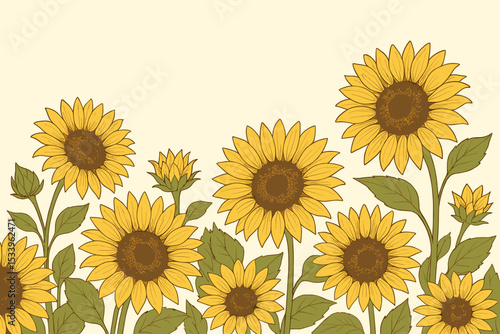 Vintage sunflower field illustration with hand-drawn floral elements. Botanical drawing of yellow summer flowers with leaves. Retro nature background, border design with copy space.