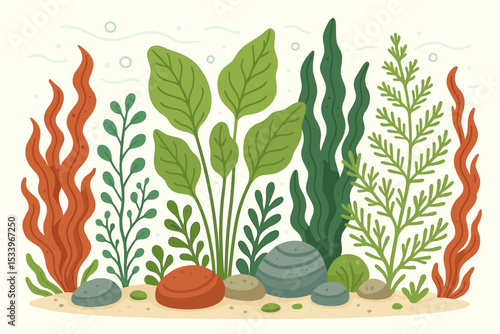 Underwater world background with seaweed and aquatic plants. Vector illustration of an ocean floor or aquarium scene. Marine seascape with algae, sand, stones, and water bubbles.