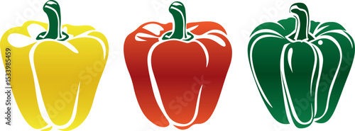 Bell Pepper Colorful Vector Illustration