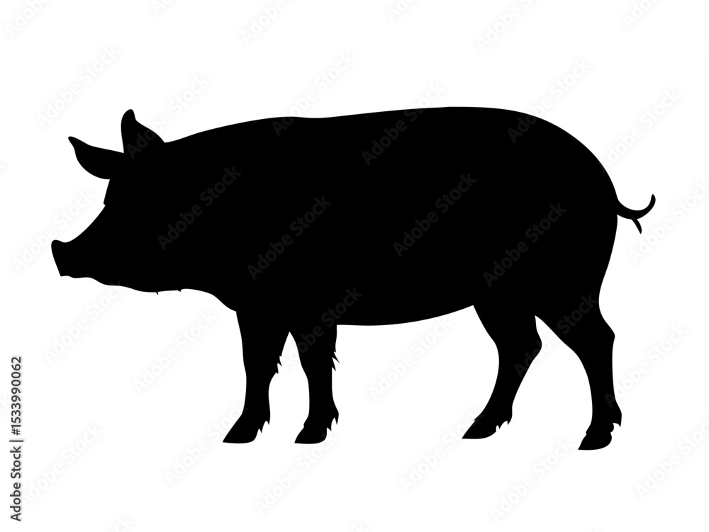 Fototapeta premium wild boar vinyl ready vector illustration