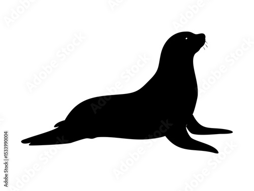 black sea lion