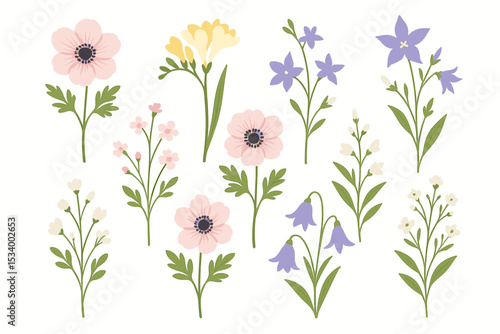 Set of spring garden flowers vector illustration. Botanical collection of cute flat floral design elements. Isolated anemone, bluebell, freesia, wildflower plant illustrations.