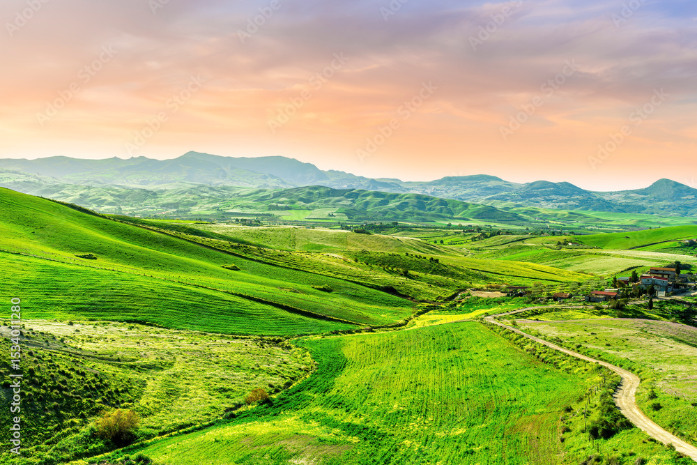 Fototapeta premium beautiful spring colorful flowering meadow with bright green hills of farm grassland and rustic path road leading far away to countyside valley and vivid sky of landscape