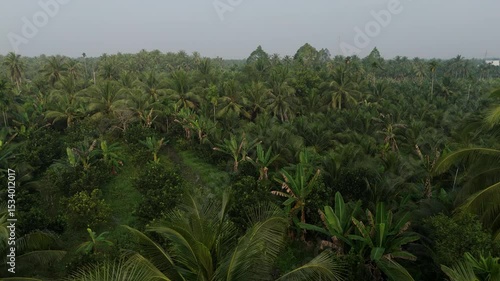 Wallpaper Mural Mekong Delta - Vietnam | Drone Torontodigital.ca
