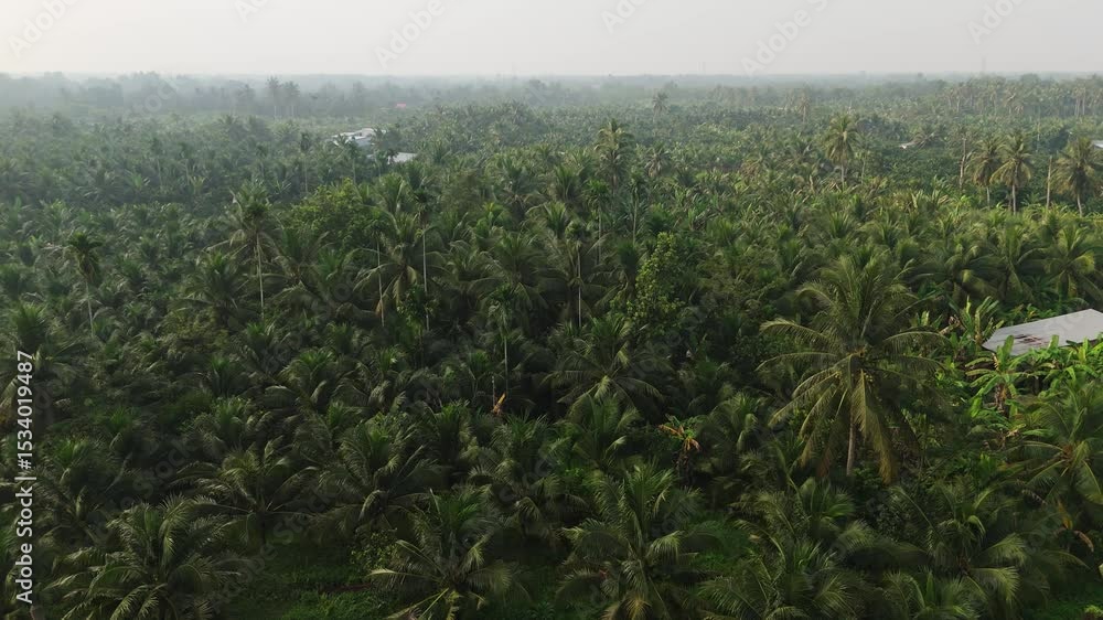 Mekong Delta - Vietnam | Drone Mekong Delta - Vietnam | Drone