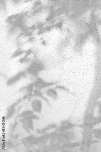 trees branch and leaf with shadow on a white concrete wall. Leaf pattern. Blurred background.