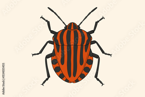 Italian striped bug illustration, Graphosoma italicum. Detailed vector drawing of a Minstrel bug, a species of shield bug. Realistic entomology art of insect with red and black stripes.