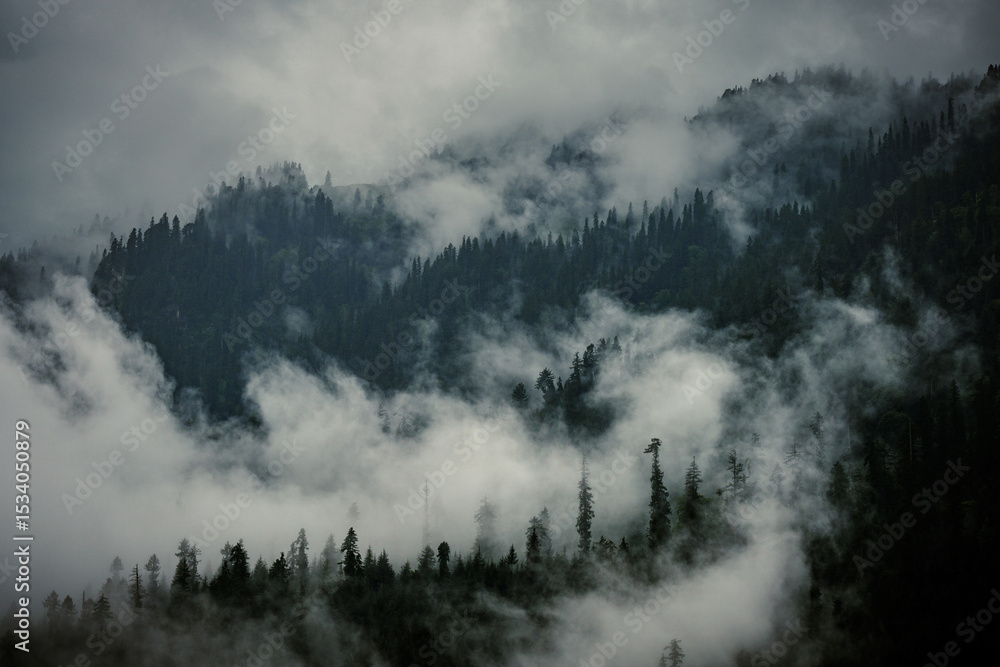 Cloudy mountains of Himachal Pradesh Cloudy mountains of Himachal Pradesh