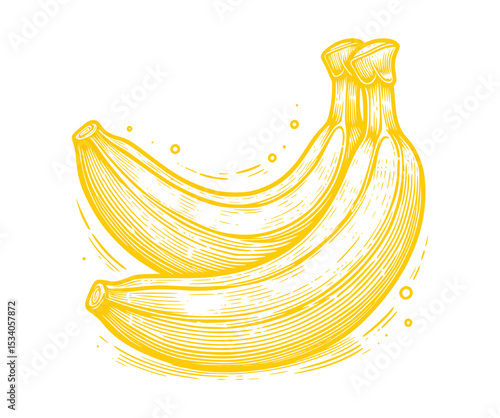 banana vector illustration