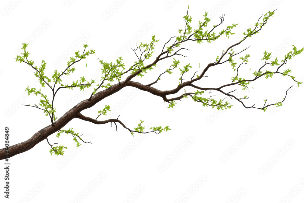 Fototapeta premium Tree branch with green leaves isolated on transparent background showcasing natural beauty and organic form