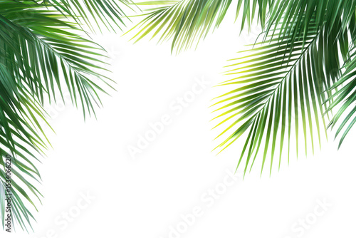Tropical palm leaf isolated on transparent background showcasing lush greenery and intricate textures, ideal for summer-themed designs and nature-inspired projects