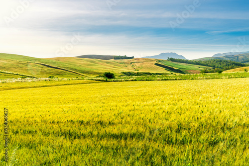 amazing golden summer landscape of beautiful golden wheaten field with scenic farmland view to picturesque hills and colorful sunset cloudy sky on background