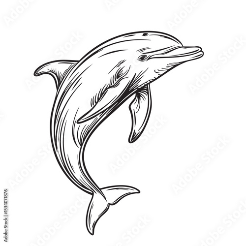 Line Art Dolphin Leaping Out of Water