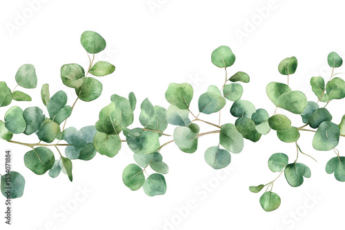 Watercolor banner featuring lush green eucalyptus leaves ideal for invitations, decor, and art projects depicting natural elegance in a serene environment