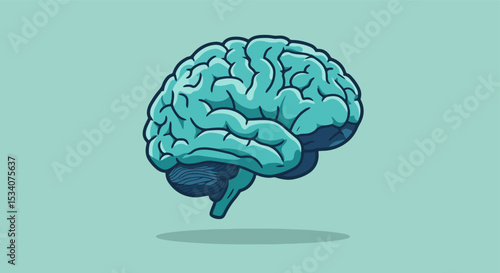 Anatomical illustration of a human brain with light green shading and intricate details