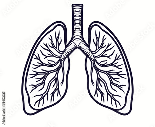 Lungs Illustration: Detailed Anatomy in Black and White