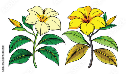 Photo of vibrant yellow and creamy white hibiscus flowers, isolated on white background, showcase lush green and golden leaves in a botanical illustration