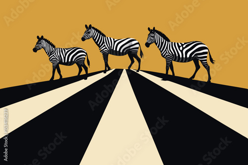 zebra crossing the road