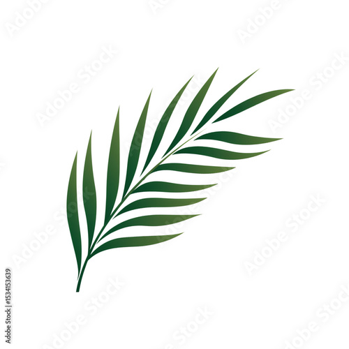 green leaves isolated on white background