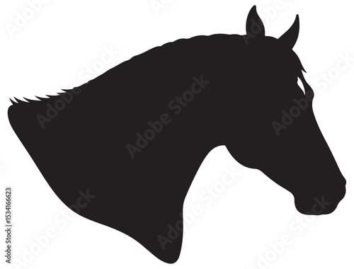 HORSE HEAD SILHOUETTE 