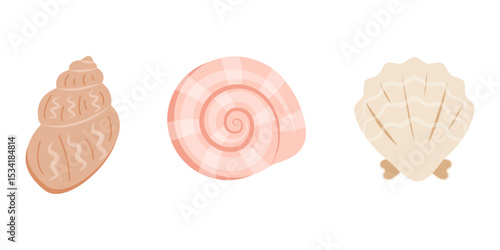 Set of cute sea shells, mollusks. Underwater shells of different shapes. Tropical beach shells. Vector illustration