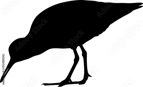 Sandpiper Bird Silhouette Feeding Position on Transparent Background