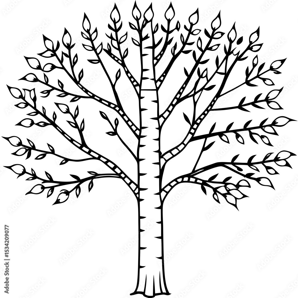 Obraz premium Birch line art vector