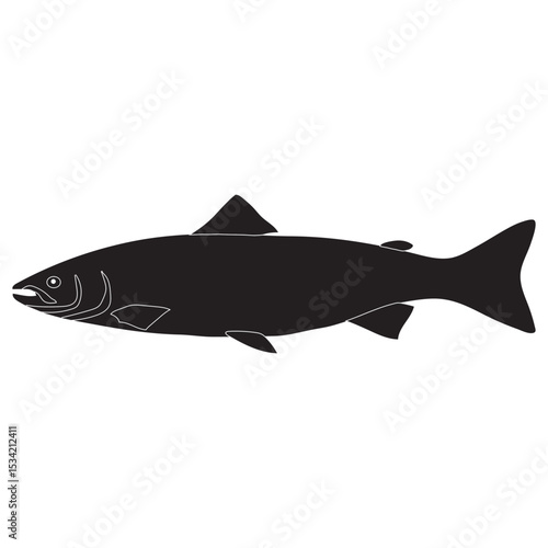 Salmon fish, seafood, sketch. Vintage retro print, seafood salmon fish sketch, sea life vector Illustration