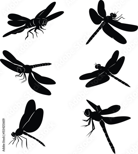 Dragonfly Illustration, black and white silhouette