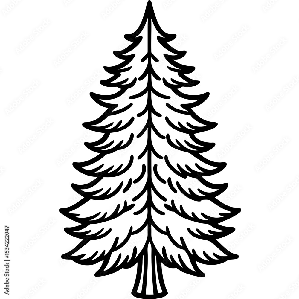 Fototapeta premium Cedar line art vector