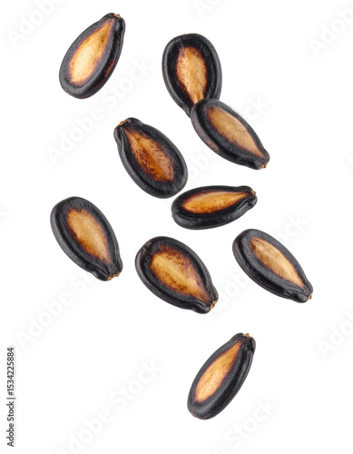 Wallpaper Mural Watermelon Seeds Floating in Air Isolated on Transparent Background Torontodigital.ca