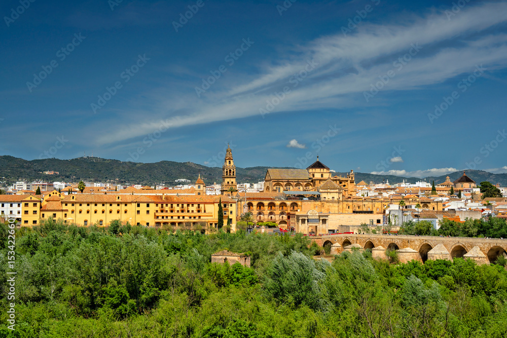 Obraz premium Cordoba, Spain. Roman bridge. Mezquita and Alcazar
