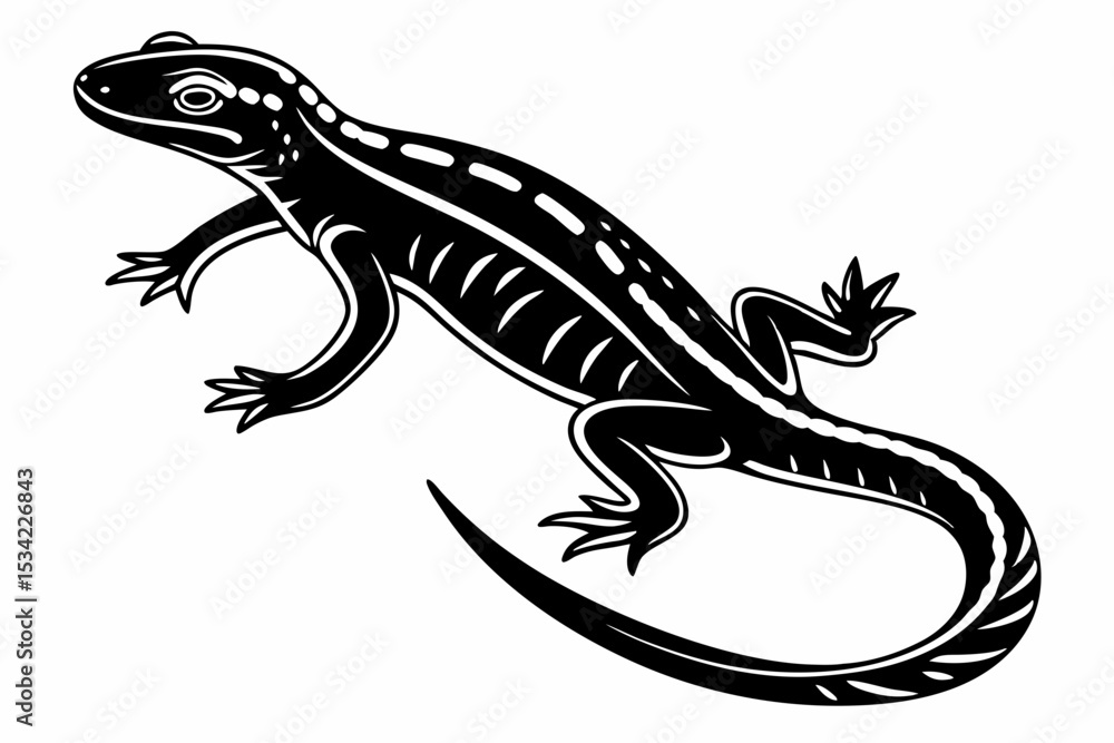 Fototapeta premium eastern newt sihouette black vector