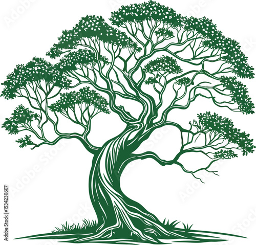 Tree vectors. Forest and nature concept icon.