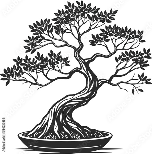 Bonsai tree silhouettes.